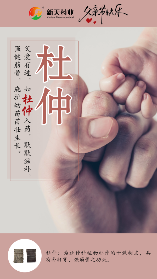 配资第一门户 父亲节 | 六月盛夏, 新天药业以药载情, 敬献父亲!