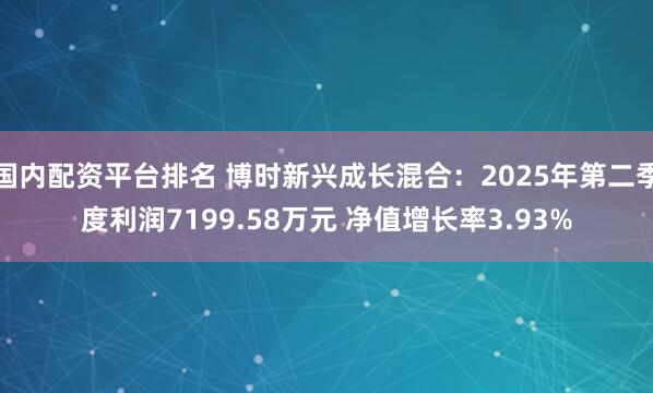 国内配资平台排名 博时新兴成长混合：2025年第二季度利润7199.58万元 净值增长率3.93%