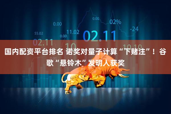 国内配资平台排名 诺奖对量子计算“下赌注”！谷歌“悬铃木”发明人获奖